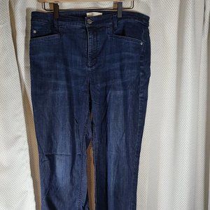 Women's J.Jill Smooth Fit Straight Leg Size 12 Jean Excellent Used Condition